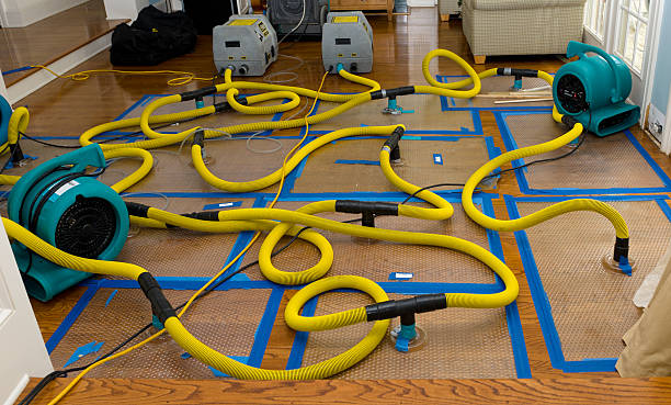 Professional Flood Damage Restoration technician working in Slayton, MN